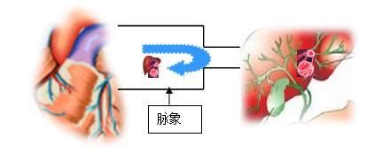 脈象圖|脈象